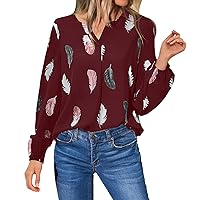 Blouse with Sleeves Womens Print Color V Neck Long Sleeve Blouse Chiffon Casual Fashion Shirt Tops Shirts Layering Women