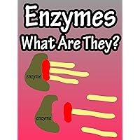 Enzymes, What Are They?