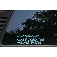 Hey Cancer: You Picked The Wrong Bitch! - in Teal - Ovarian Cancer - 8
