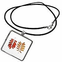 3dRose Two beautiful rowan tree twigs with red, yellow leaves... - Necklace With Pendant (ncl_297141)