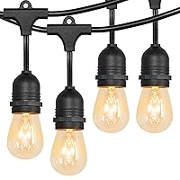 Outdoor String Lights | Commercial Grade Weatherproof with String Lights,15 Edison Glass Bulbs(1 Spare),Perfect for Patio, Garden, Bistro | Durable & Decorative 48FT