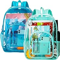 AGSDON Clear Backpack for women and men, Heavy Duty Transparent Bookbag - 16