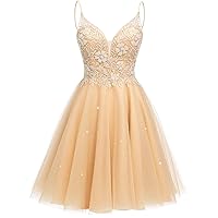 Homecoming Dresses Lace Tulle Prom Dress V Neck Prom Dress Short Homecoming Dresses for Teens