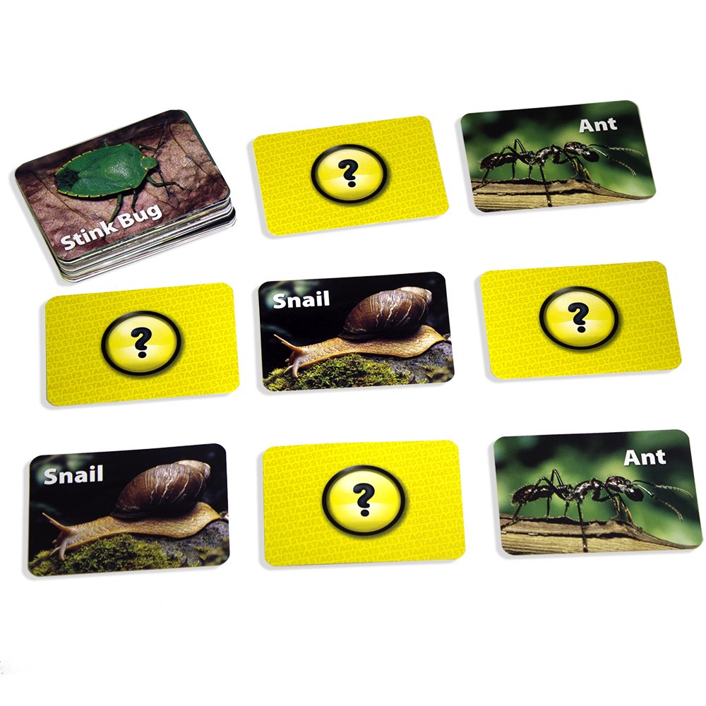 Stages Learning Materials Picture Memory Insects and Bugs Card Game Real Photo Concentration Game for Home, Family, Preschool & Kindergarten Education, multicolor, size 5 x 3 in (SLM223)