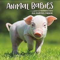 2024 Animal Babies Mini Wall Calendar
