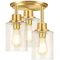 Semi Flush Mount Ceiling Light, 3-Light Close to Ceiling Light Fixtures, Brass Gold Finish Kitchen Light Fixtures with Clear Seeded Glass Shade Patriot Lighting for Entryway Porch Hallway Foyer