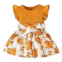Toddler Kids Baby Girls Summer Casual Fly Sleeve Round Neck Floral Dress Party Dress Clothes Toddler