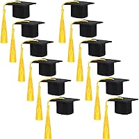 24 Pcs Mini Graduation Caps Decorations 2024 Mini Graduation Hats Small Black Grad Cap with Colorful Tassels for Graduation Bottle Topper Decor