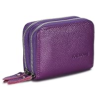 Women's Leather RFID Secured Spacious Cute Zipper Card Wallet Small Purse