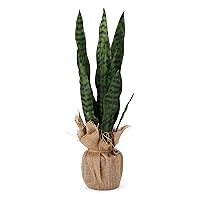 Snake Plant in a Burlap Wrap Pot for Bathroom Farmhouse Faux Greenery Tabletop Centerpiece Mantel Office Desk Kitchen Décor, 24 inches