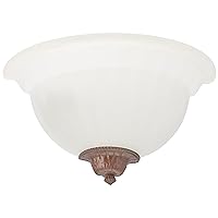 Designers Fountain 6021-AST Today's Home 1-Light Wall Sconce, Assorted Ed