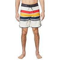 Quiksilver Men's Standard Everyday Stripe 19 Boardshort Swim Trunk
