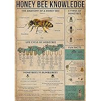ARA STEP Vintage Knowledge Posters Animals Kitchen Wall Decor Prints UNFRAMED B (297 x 420 mm / 11.7 x 16.5 inches, The Anatomy of a Honey Bee)