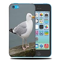 Seagull Gull Bird Seabird #5 Phone CASE Cover for Apple iPhone 5C
