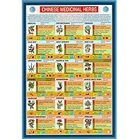 Chinese Medicinal Herbs Reference Guide Mini Chart Poster 9 x 6