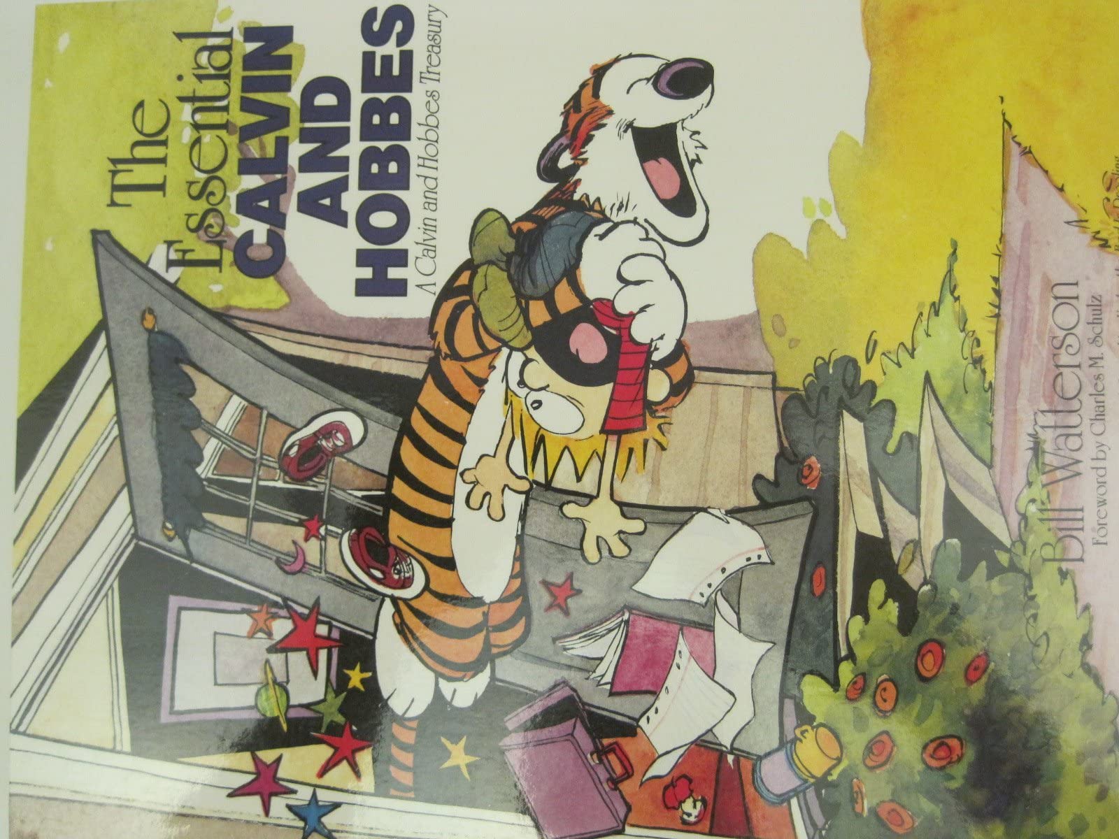 The Essential Calvin and Hobbes: a Calvin and Hobbes Treasury