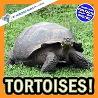 Tortoises!: A My Incredible World Picture Book for Children (My Incredible World: Nature and Animal Picture Books for Children) Tortoises!: A My Incredible World Picture Book for Children (My Incredible World: Nature and Animal Picture Books for Children) Paperback Kindle