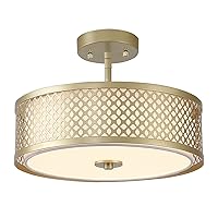 Semi Flush Mount Ceiling Light Fixture Gold Drum Lights Hallway Light Fixtures Ceiling Modern Close to Ceiling Lamps for Living Room, Bedroom, Dining Room, Kitchen, Hallway, Entry, Foyer