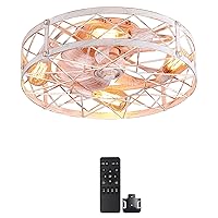 Caged Ceiling Fan with Light, 20