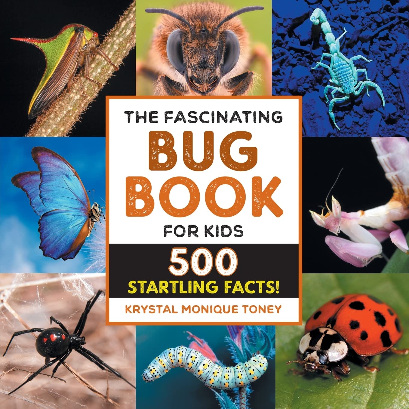 The Fascinating Bug Book for Kids: 500 Startling Facts! (Fascinating Facts)