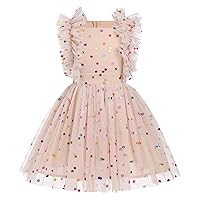 Girls Birthday Party Dress Butterfly Daisy Polka Dots Embroidery Princess Tulle Wedding Pageant Evening Gown