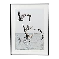 Creative Co-Op Seagulls in Flight Photo Print with Black Metal Frame