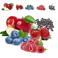 Mix Fruit Seeds Berry Seeds for Planting (5 Varieties) Heirloom Blueberry Raspberry Elderberry Apple Strawberry Seeds for Home Garden
