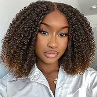 Quantum Love Lace Front Curly Wigs Kinky Curly Wig for Black Women Short Curly Bob Ombre Brown Synthetic Wigs (15 Inch)