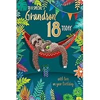 Carte Blanche Special Grandson 18th Milestone Birthday Card - Age 18 - Sloth on Hammock Embossed with Foil Details - Eco-Friendly