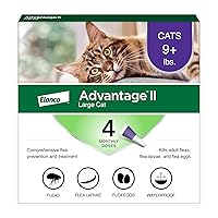 Advantage II Large Cat Vet-Recommended Flea Treatment & Prevention | Cats Over 9 lbs. | 4-Month Supply