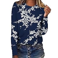 Long Sleeve Shirts for Women Round Neck Gradient Color Printed Tees Tops Fashion Plus Sized Summer Holiday Blouse