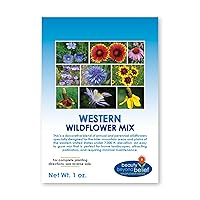 Western Wildflower Seed Mix 1oz - Premium Annual and Perennial Wildflower Seed Mix for The Inter-Mountains and Plains of The West 1oz
