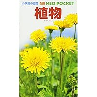 (Picture book NEO pocket of Shogakukan) plant (2010) ISBN: 4092172826 [Japanese Import] (Picture book NEO pocket of Shogakukan) plant (2010) ISBN: 4092172826 [Japanese Import] Paperback