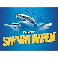 Shark Week 2021 D+ Trailer - Season 1