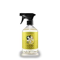 Multi-surface Countertop Spray Cleaner, Made with Vegetable Protein Extract, Sea Salt Neroli Scent, 16 oz