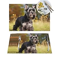 1 Placemats Set Schnauzer Dog on The Grass PVC Vinyl Woven Table Mats Heat-Resistant Farmhouse Place Mat Non-Slip Washable Woven Placemats for Dining Table Kitchen PVC Table Mat