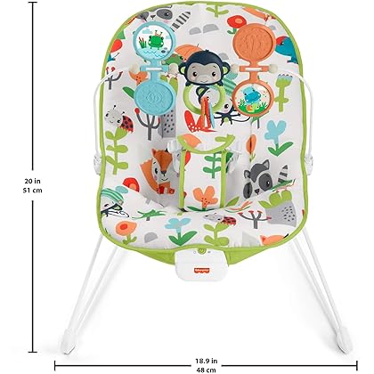 Fisher-Price Baby's Bouncer – Green, bouncing seat for soothing and play for newborns and infants [Amazon Exclusive]