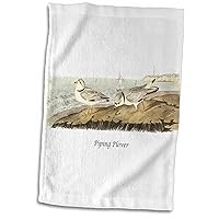 3D Rose Piping Plover by John James Audubon Hand/Sports Towel, 15 x 22