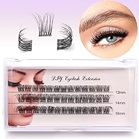 DIY Eyelash Extension Individual Lashes with Clear Band D Curl Lash Extension Strip 39 Clusters Reusable Wispy False Eyelashes for Personal DIY at Home / FD02 12-16MM