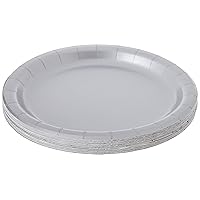 Creative Converting Touch of Color 24 Count Paper Lunch Plates, Shimmering Silver