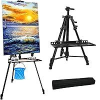 NewZeal Artist Easel Stand Painting Stand Art Easel, 20