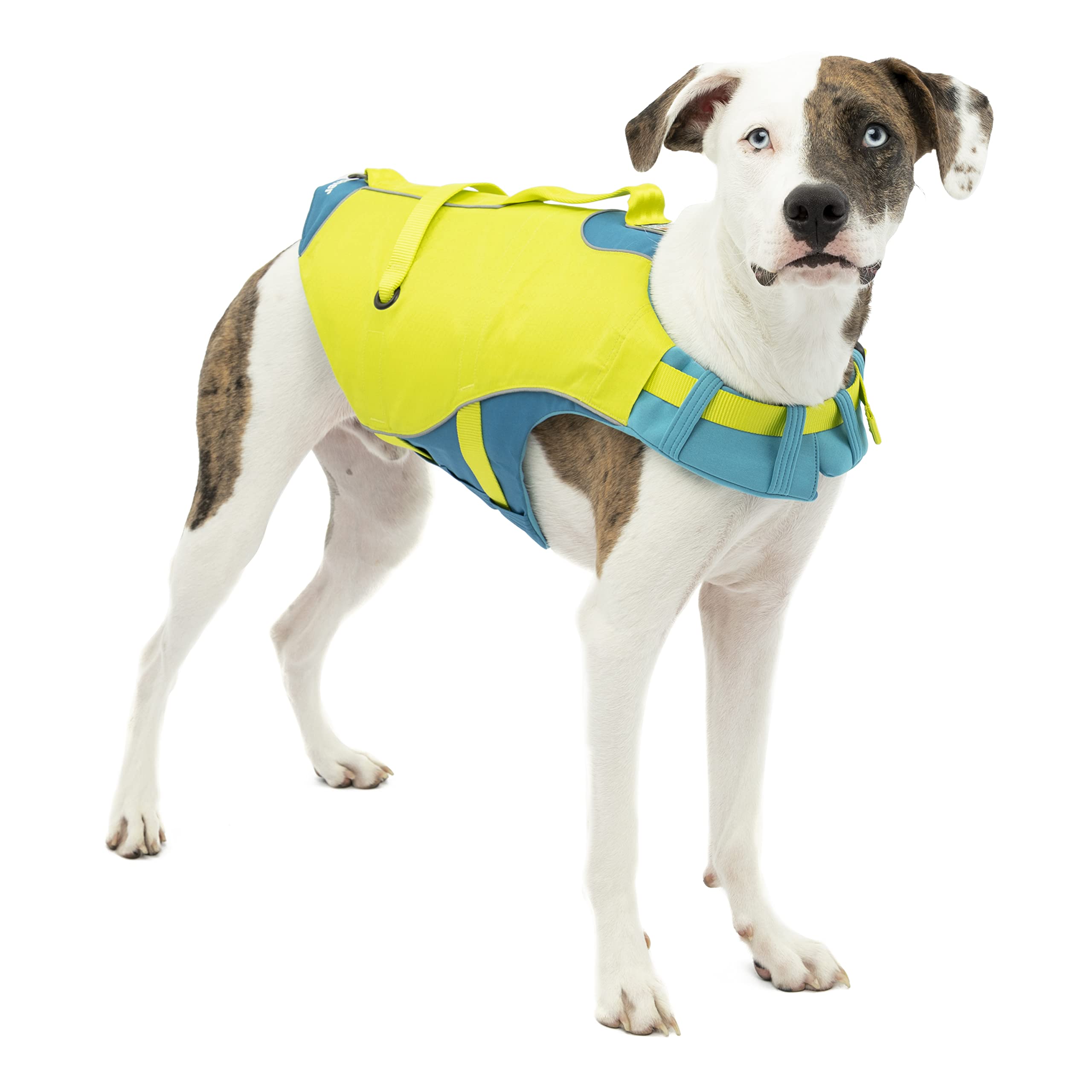 Kurgo Surf n’ Turf Dog Life Jacket - Flotation Life Vest for Swimming and Boating - Dog Lifejacket with Rescue Handle and Reflective Accents - Machine Washable - Blue/Green, Large