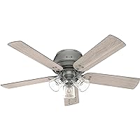 Hunter Fan Company 52380 Shady Grove Ceiling Fan, Matte Silver