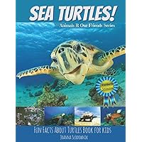 Sea Turtles! Fun Facts about Turtles Book for Kids with Amazing Photos
