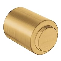 Moen DN0705BG Iso Drawer Knob, Brushed Gold