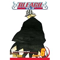 Bleach, Vol. 6 Bleach, Vol. 6 Paperback Kindle