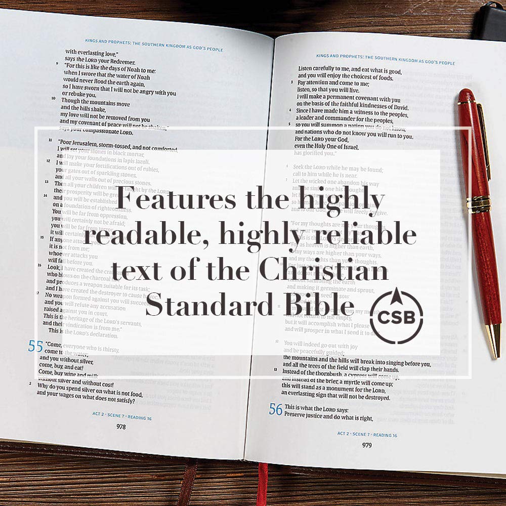 CSB Day-by-Day Chronological Bible, TradePaper, Black Letter, 365 Day, One Year, Reading Plan, Single-Column, Easy-to-Read Bible Serif Type