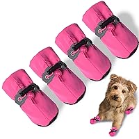 Mua dog shoes for small dogs hàng hiệu chính hãng từ Mỹ giá tốt. Tháng  4/2023 