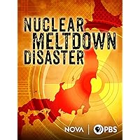Nuclear Meltdown Disaster