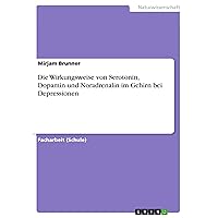 Die Wirkungsweise von Serotonin, Dopamin und Noradrenalin im Gehirn bei Depressionen (German Edition)